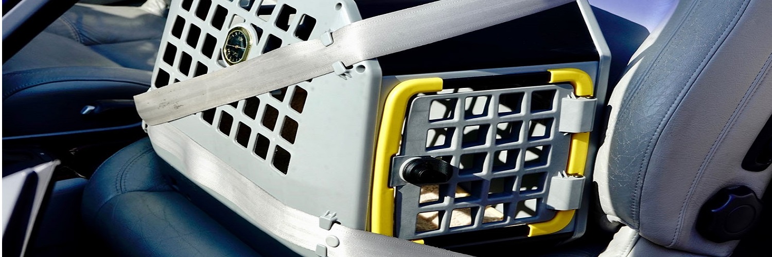 Welke transportbox voor een hond kiezen? Complete koopgids voor 2026