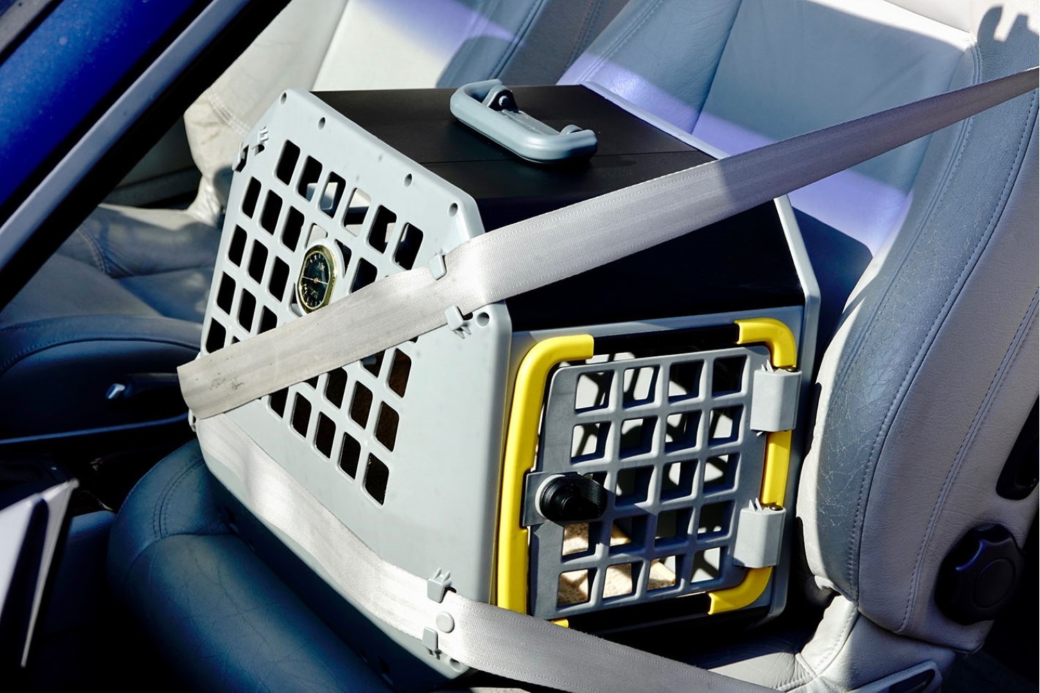 Welke transportbox voor een hond kiezen? Complete koopgids voor 2026