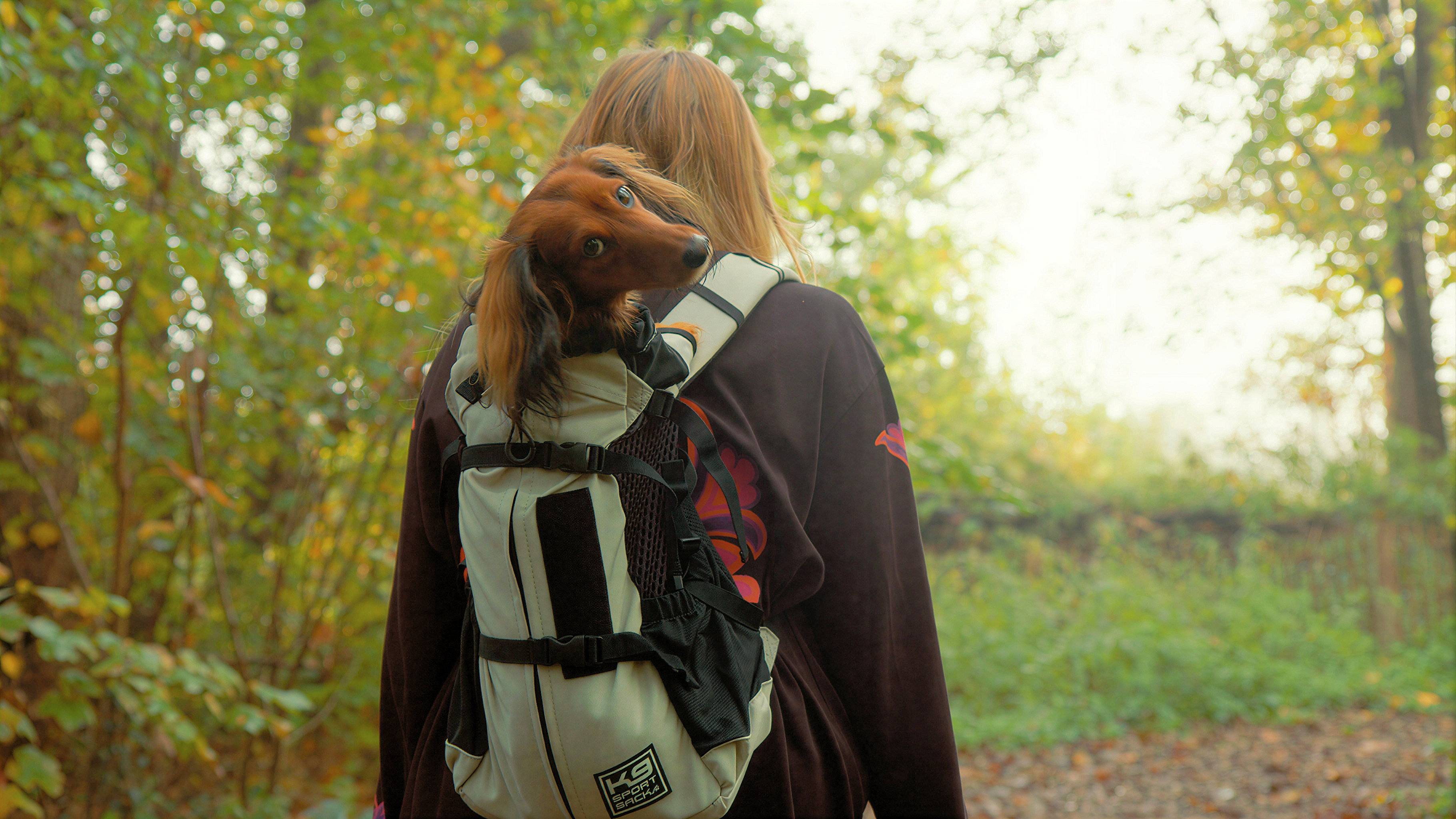 Hunderucksack: Unterwegs mit dem Hund!