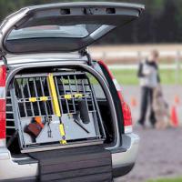 Car dog crates