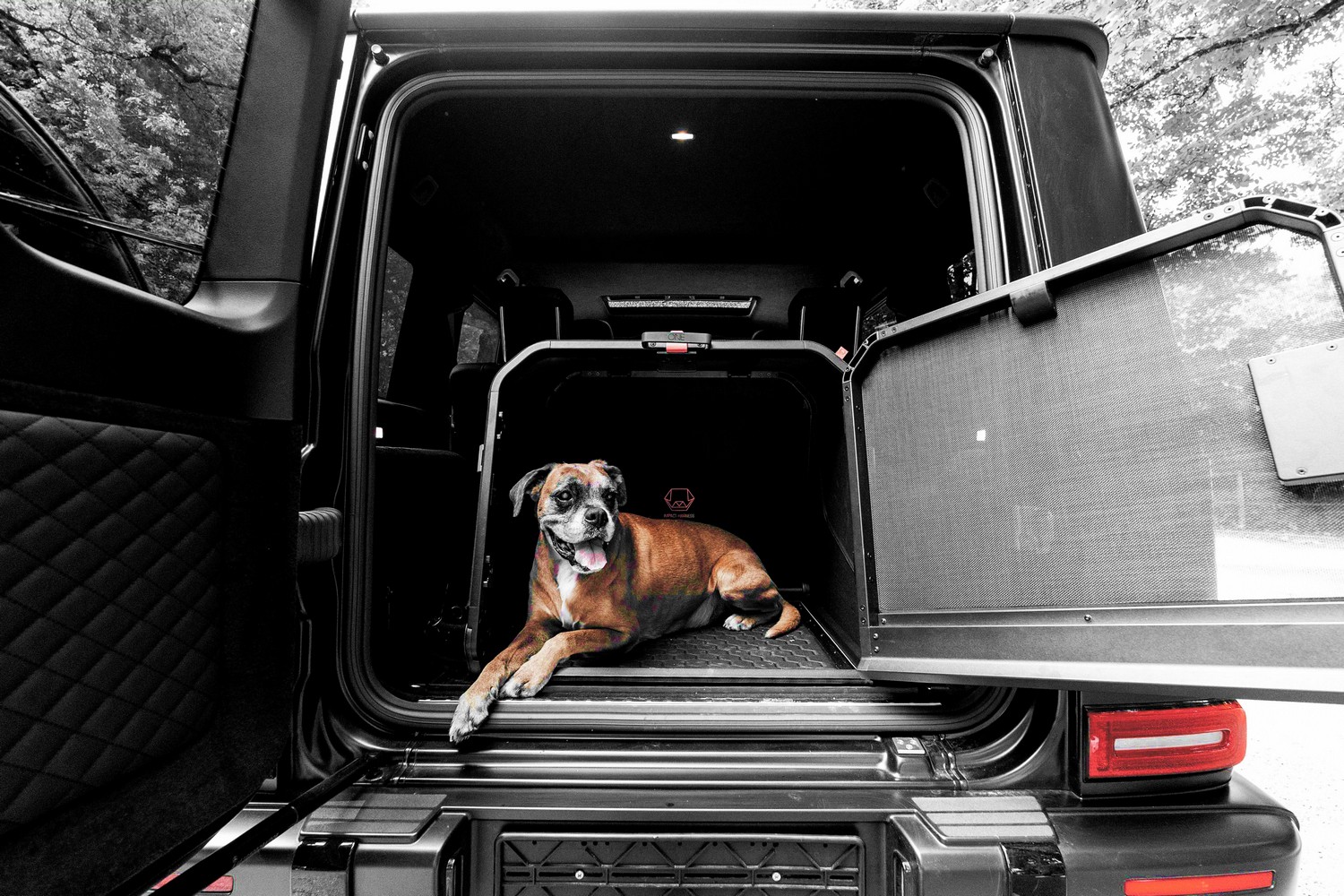 1one1 Origami XL dog crate - Hundebox - hondenbench - cage pour chien (10) 1one1 Origami XL dog crate - Hundebox - hondenbench - cage pour chien (10)