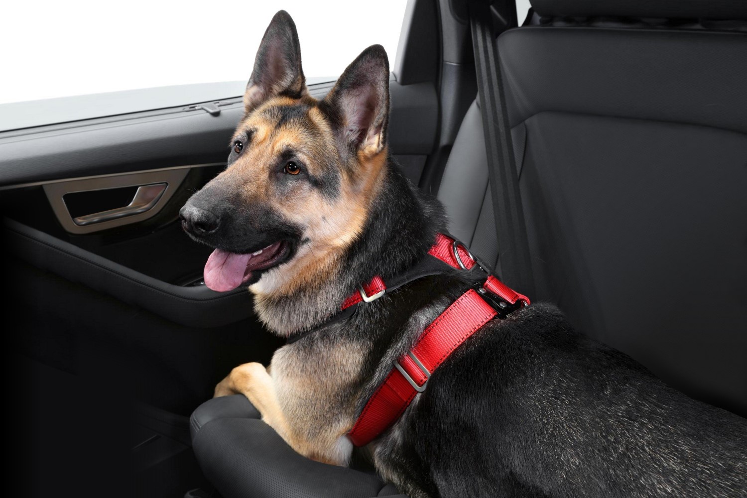 Hundegeschirr fürs Auto Allsafe Comfort Gr. XL