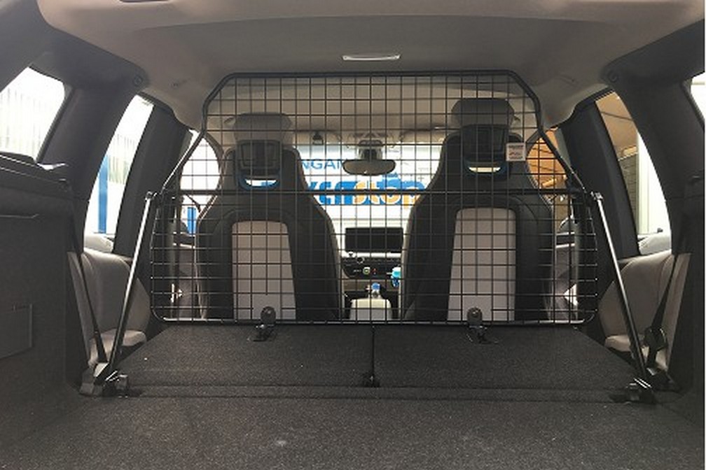 Bmw online i3 dog
