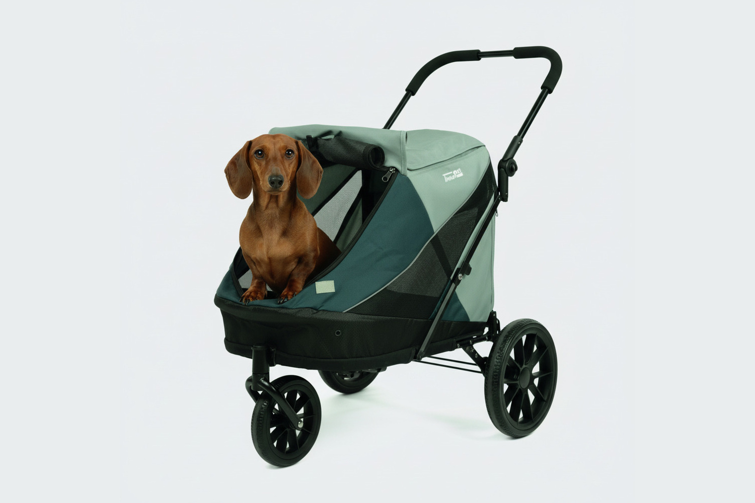 Buggy InnoPet Nomad Lagune