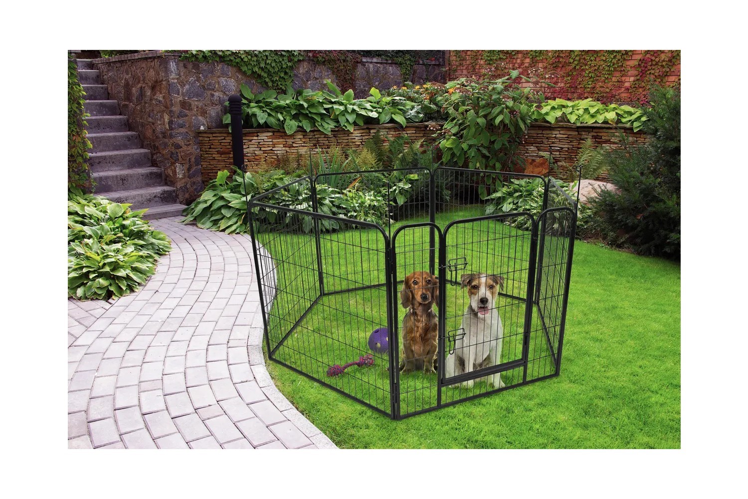 Dog crate Zecta black (CDC1FMZE) (2)