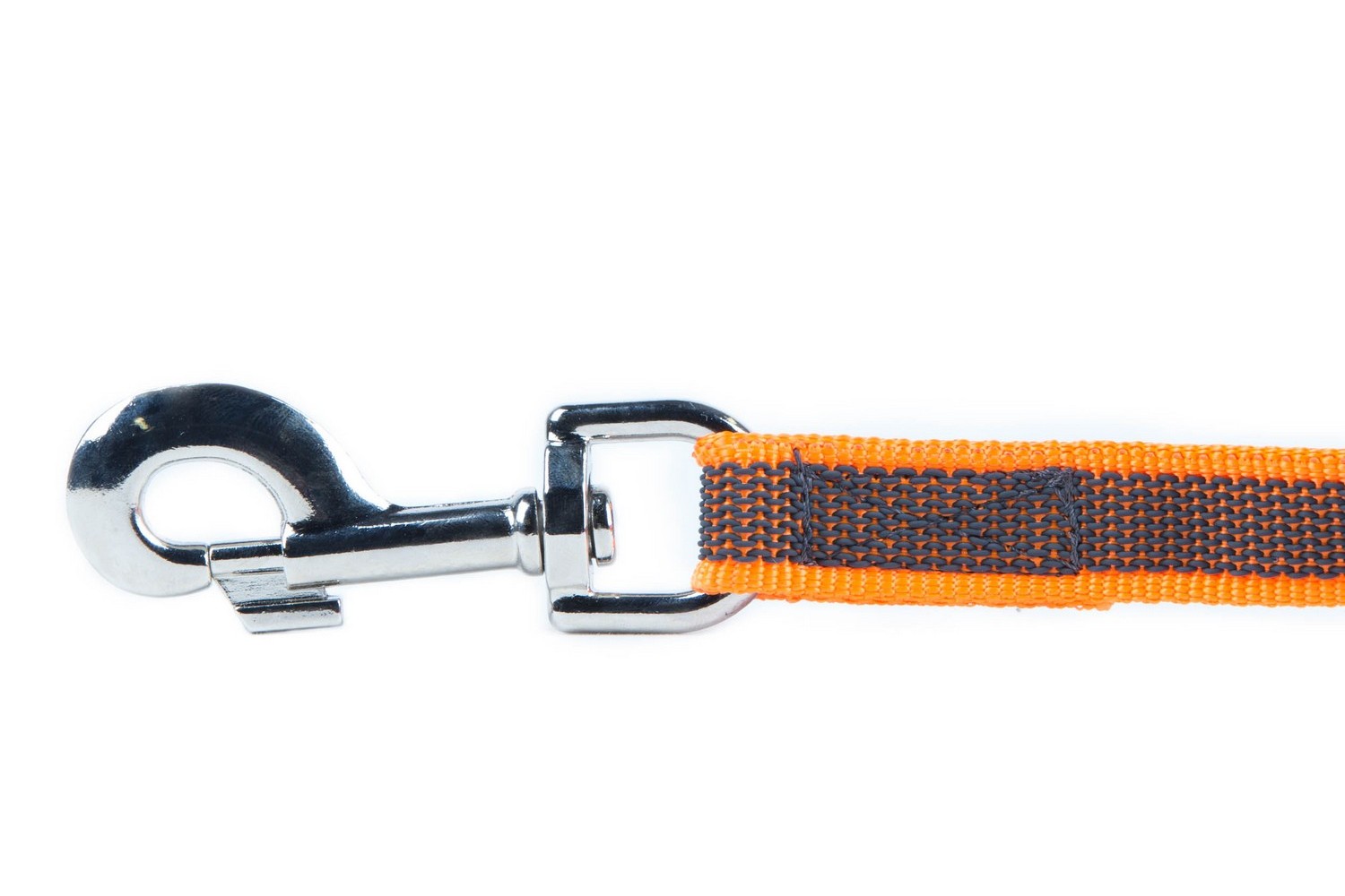 Buckle Down Hundeleine - 1,8 M Lang, 1,3 Cm Breit, Schwarz/Orange, Aus Hochdichtem Polyester