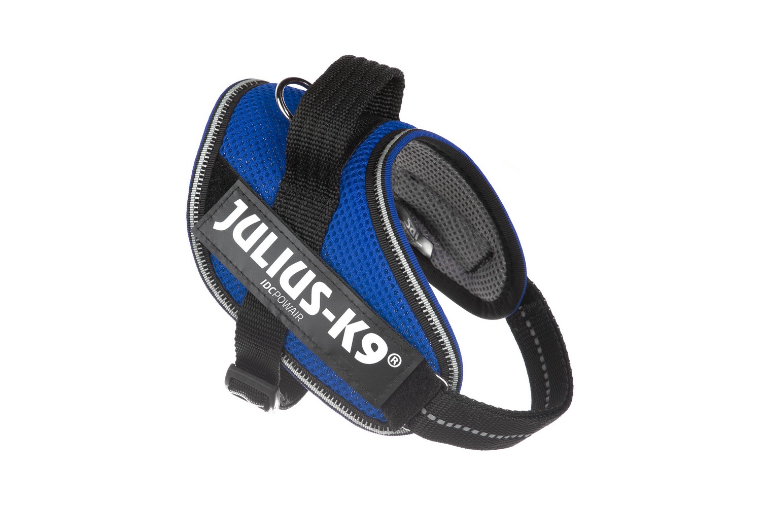 Name tag Julius-K9 11 x 3 cm