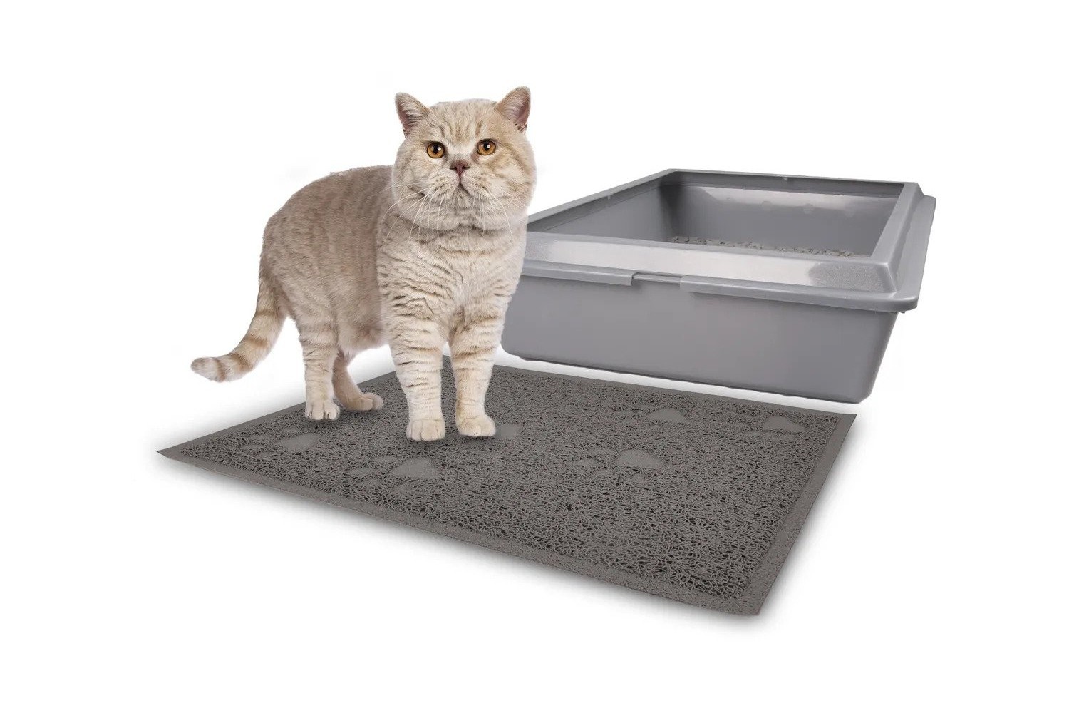 Katzenklo, Katzenstreu Matte, Unterleger, Katzenmatte wasserdicht 30*40 cm,  Grau