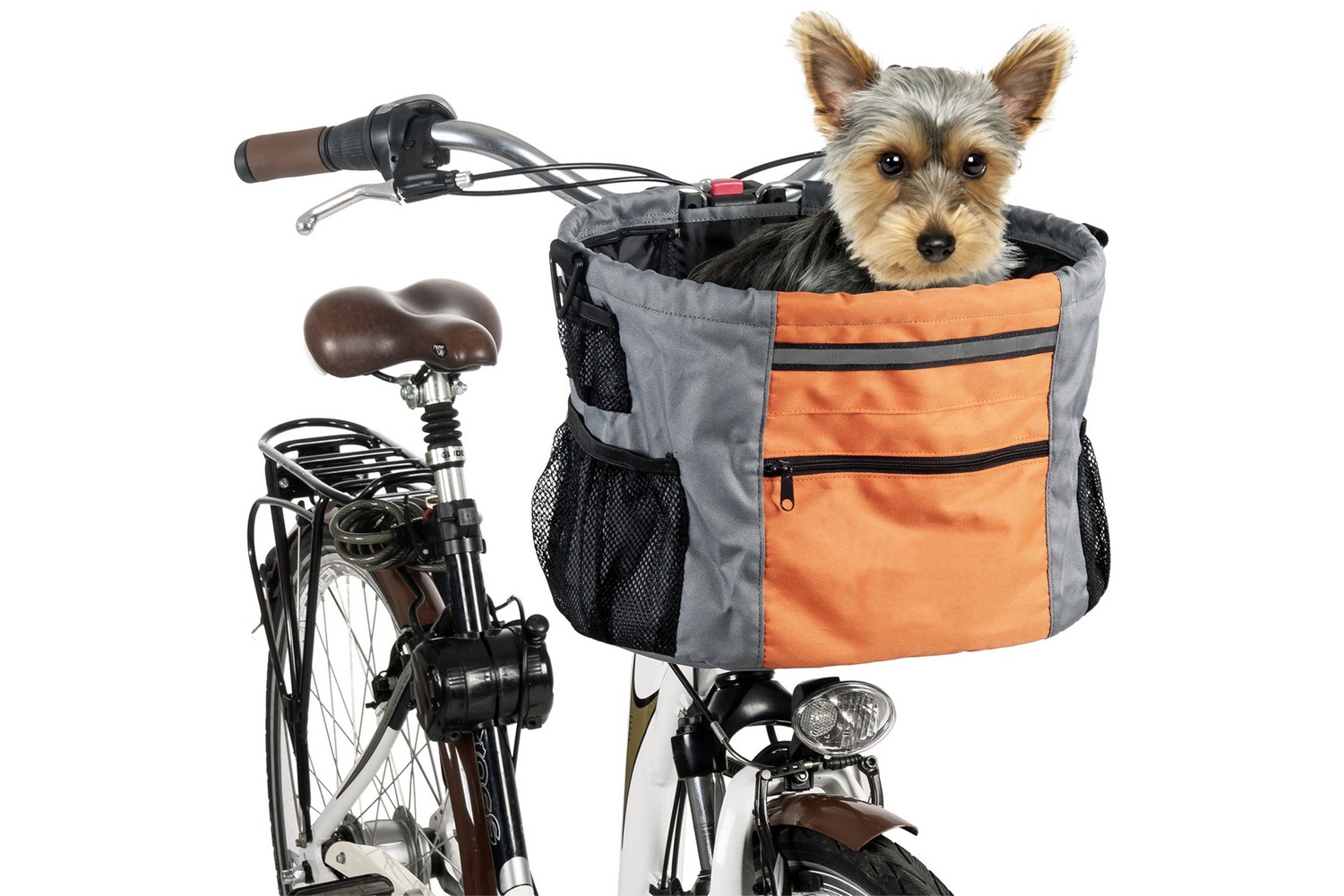 Dog bicycle basket handlebars Steffen