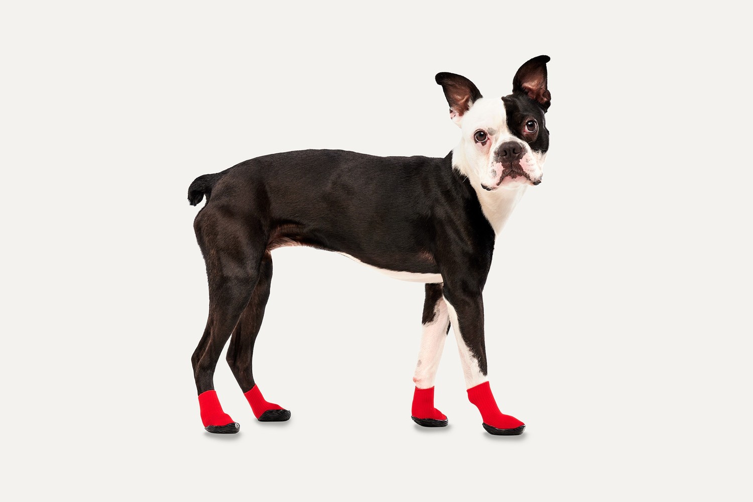 Dog boots Goo-eez Lites Red/Black L 4-pack (3) Dog boots Goo-eez Lites Red/Black L 4-pack (3)