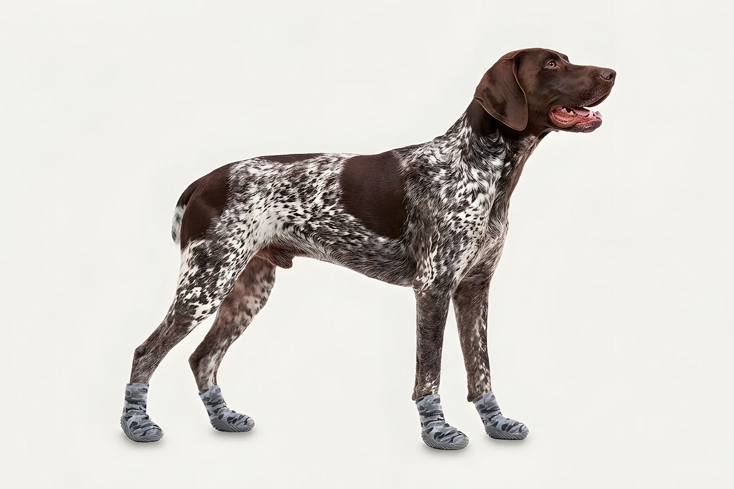 Dog boots Goo-eez Ultras Camo/Grey M 2-pack (2) Dog boots Goo-eez Ultras Camo/Grey M 2-pack (2)