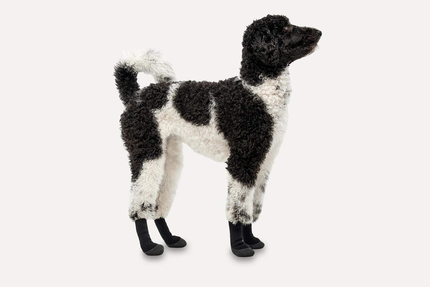 Hundeschuhe Goo-eez Lites camo/schwarz M 4er-Set Hundeschuhe Goo-eez Lites camo/schwarz M 4er-Set