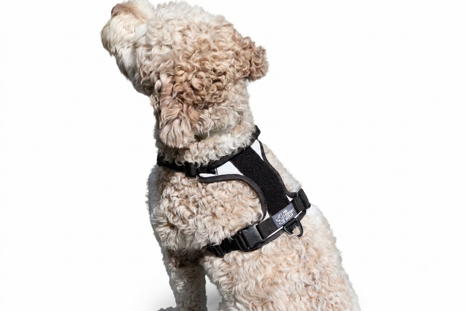 Harnais pour chien à attache rapide K9 Sport Sack Arctic Gray L Harnais pour chien à attache rapide K9 Sport Sack Arctic Gray L