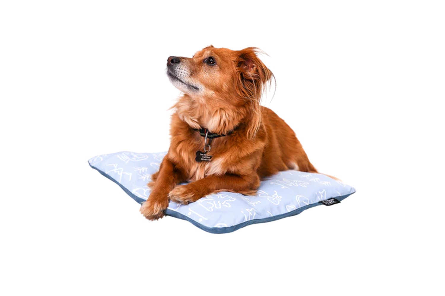 Hundebett K9 Sport Sack Sleeper Blau S/M Hundebett K9 Sport Sack Sleeper Blau S/M