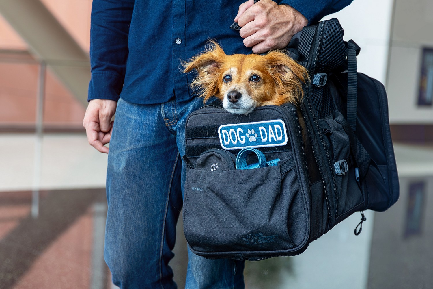 Dog backpack K9 Sport Sack Sky Pack black S (DBP14PSS-S) (9)