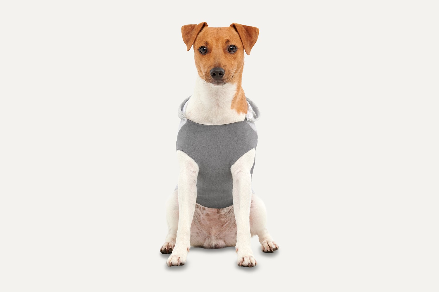 Dog hoodie Goo-eez Kangaroo Fleece Grey S (3) Dog hoodie Goo-eez Kangaroo Fleece Grey S (3)