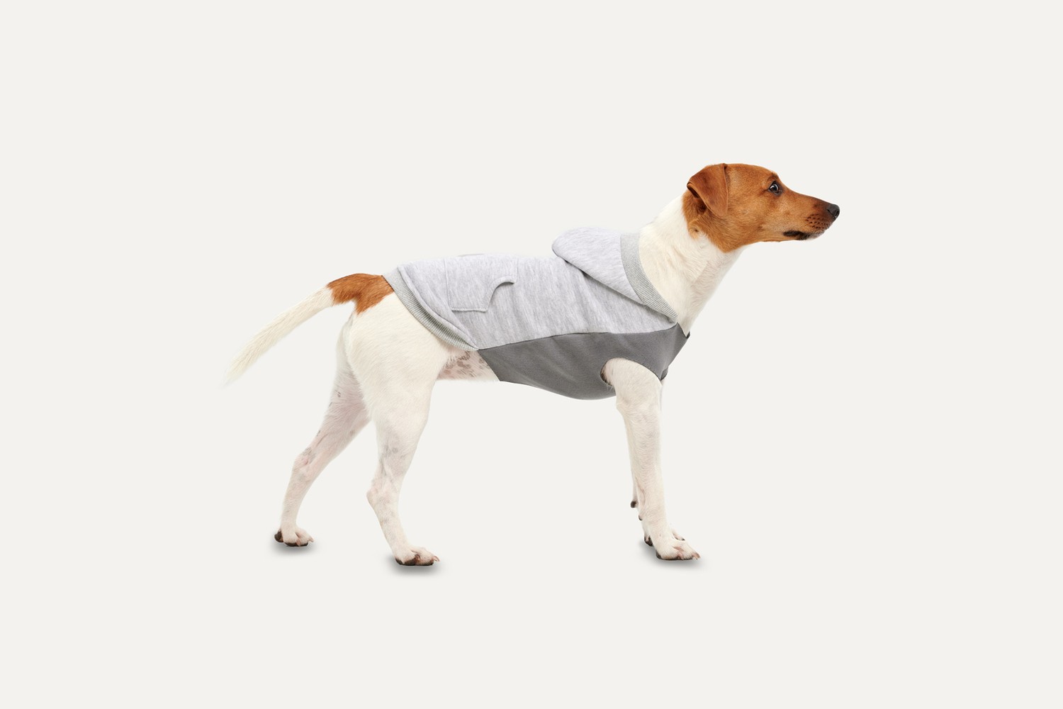 Dog hoodie Goo-eez Kangaroo Fleece Grey XL Dog hoodie Goo-eez Kangaroo Fleece Grey XL