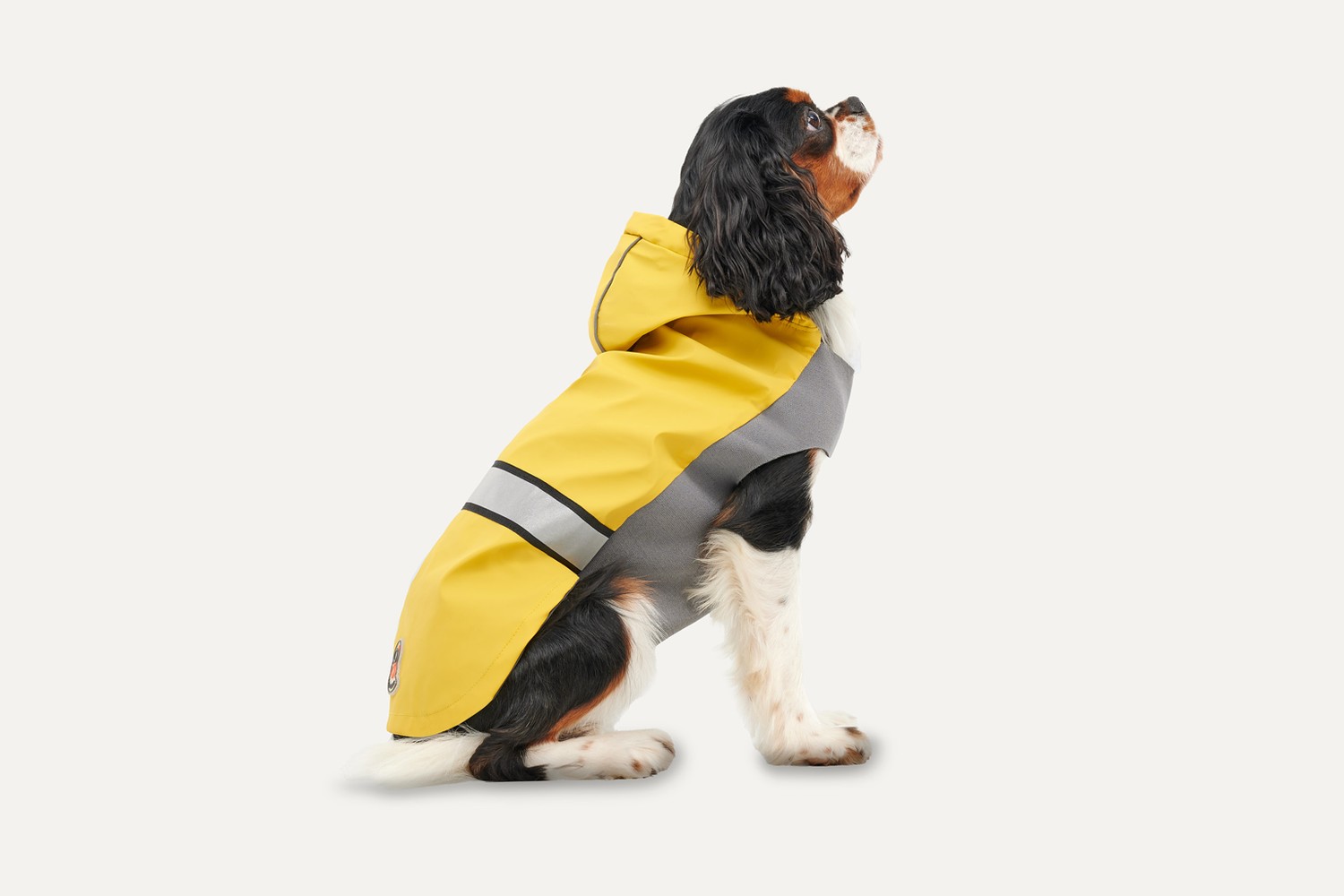 Hondenregenjas Goo-eez Reflective Hooded geel/grijs S Hondenregenjas Goo-eez Reflective Hooded geel/grijs S