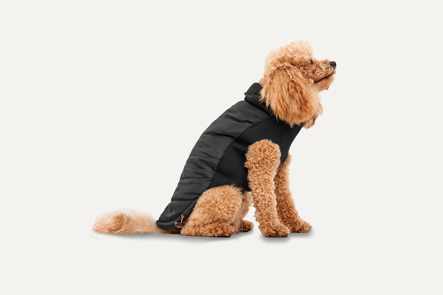 Hundejacke Goo-eez Signature Wrap schwarz M Hundejacke Goo-eez Signature Wrap schwarz M