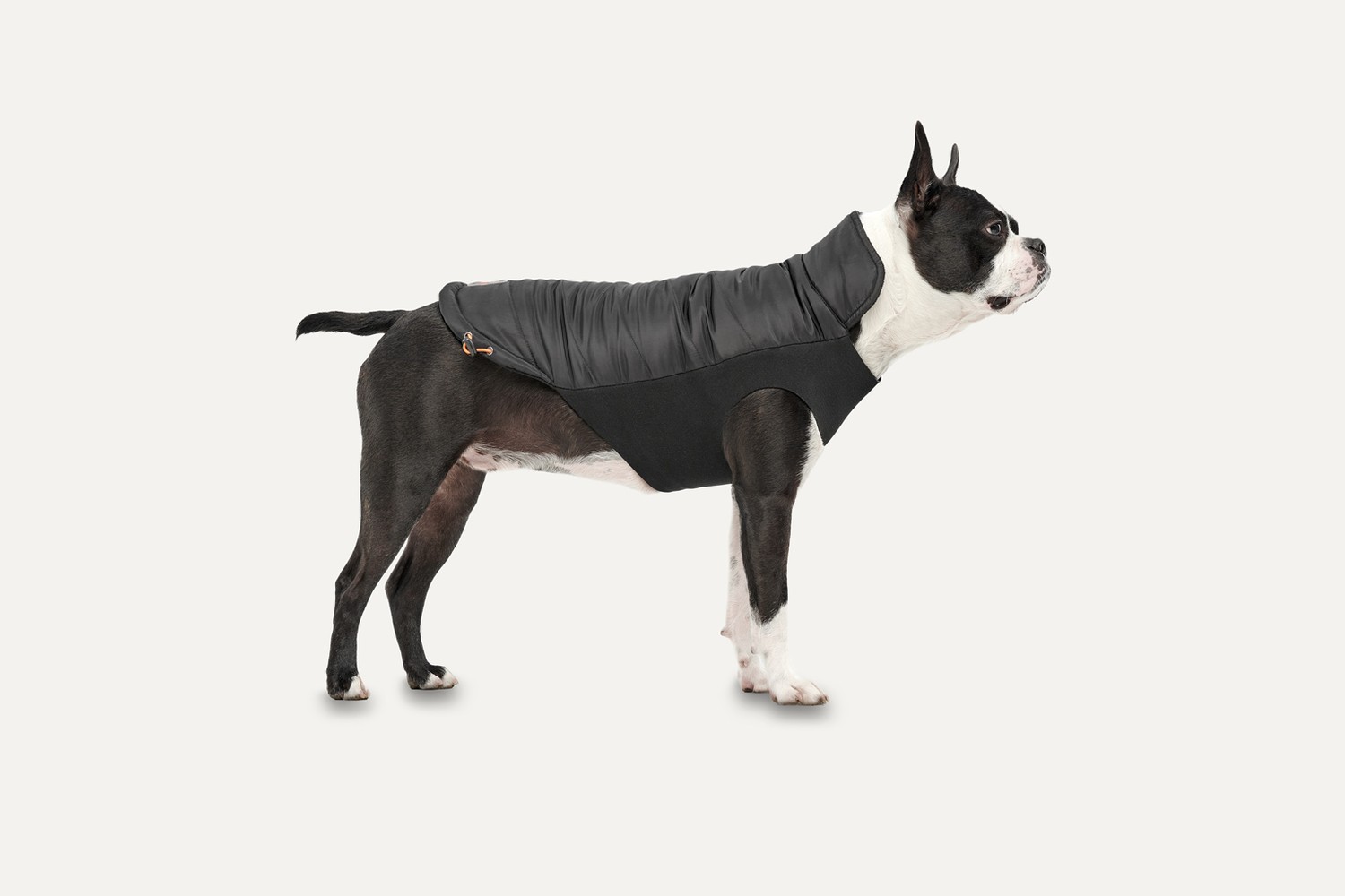 Dog jacket Goo-eez Signature Wrap Black M (2) Dog jacket Goo-eez Signature Wrap Black M (2)