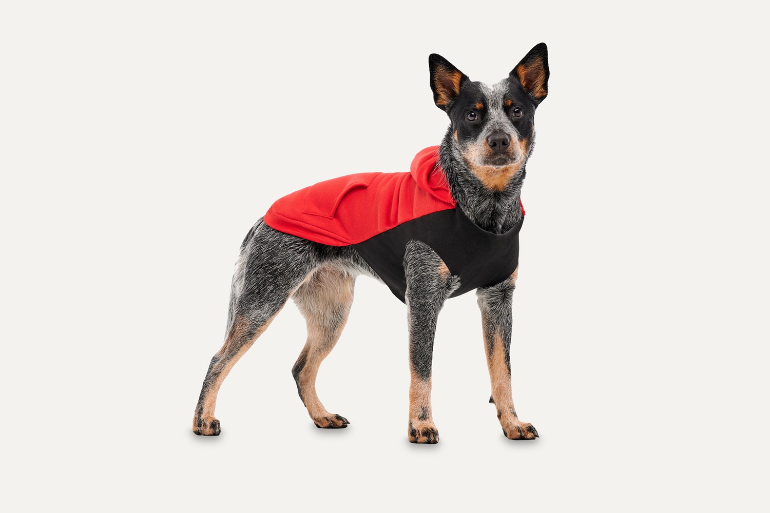 Hondenhoodie Goo-eez Kangaroo Fleece rood/zwart L Hondenhoodie Goo-eez Kangaroo Fleece rood/zwart L