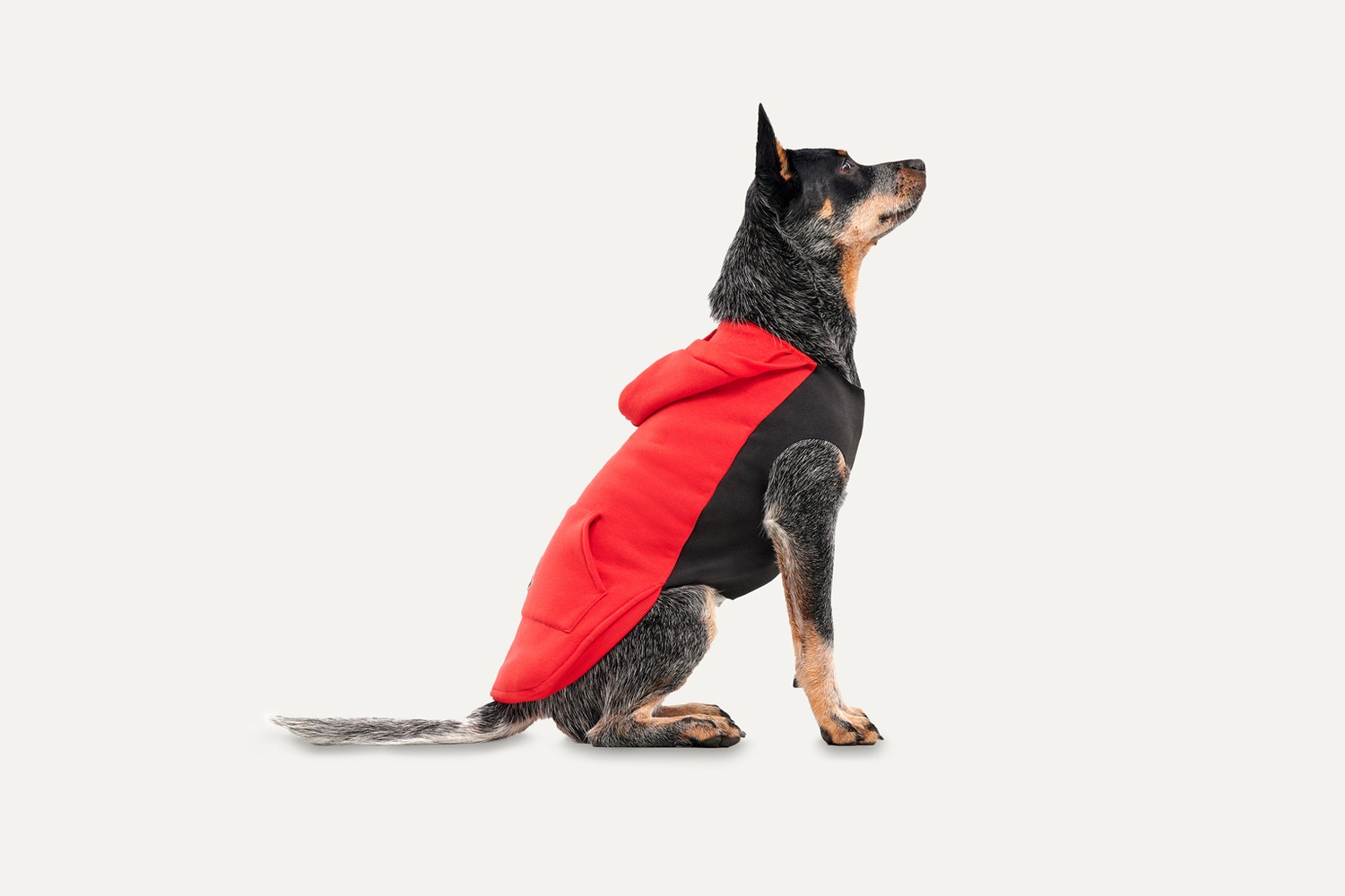 Dog hoodie Goo-eez Kangaroo Fleece Red/Black XXL (2) Dog hoodie Goo-eez Kangaroo Fleece Red/Black XXL (2)