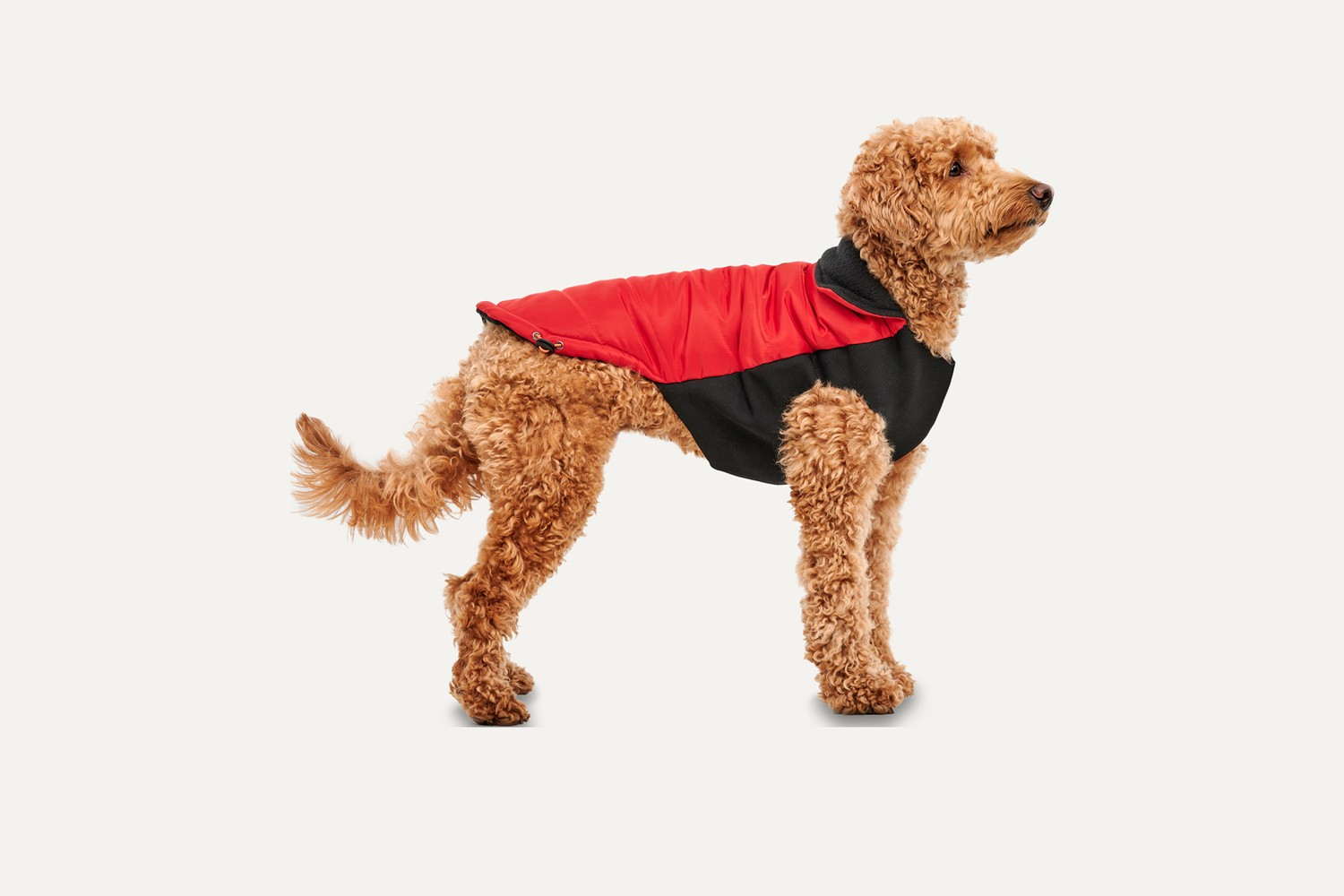Hundejacke Goo-eez Signature Wrap rot/schwarz M Hundejacke Goo-eez Signature Wrap rot/schwarz M