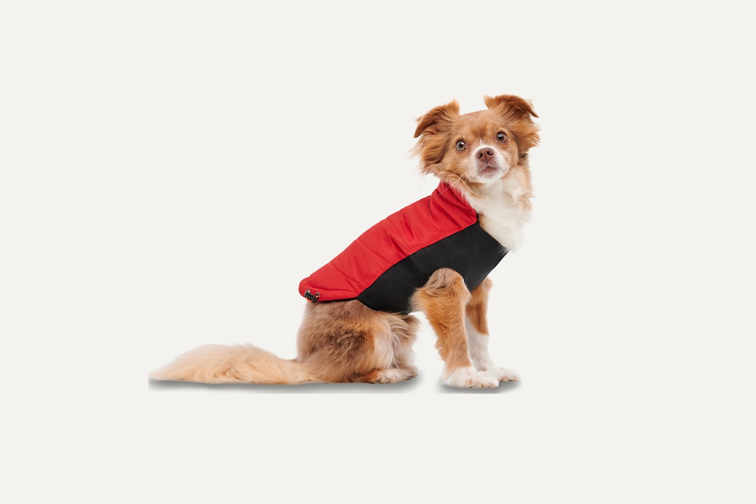 Dog jacket Goo-eez Signature Wrap Red/Black M (3) Dog jacket Goo-eez Signature Wrap Red/Black M (3)