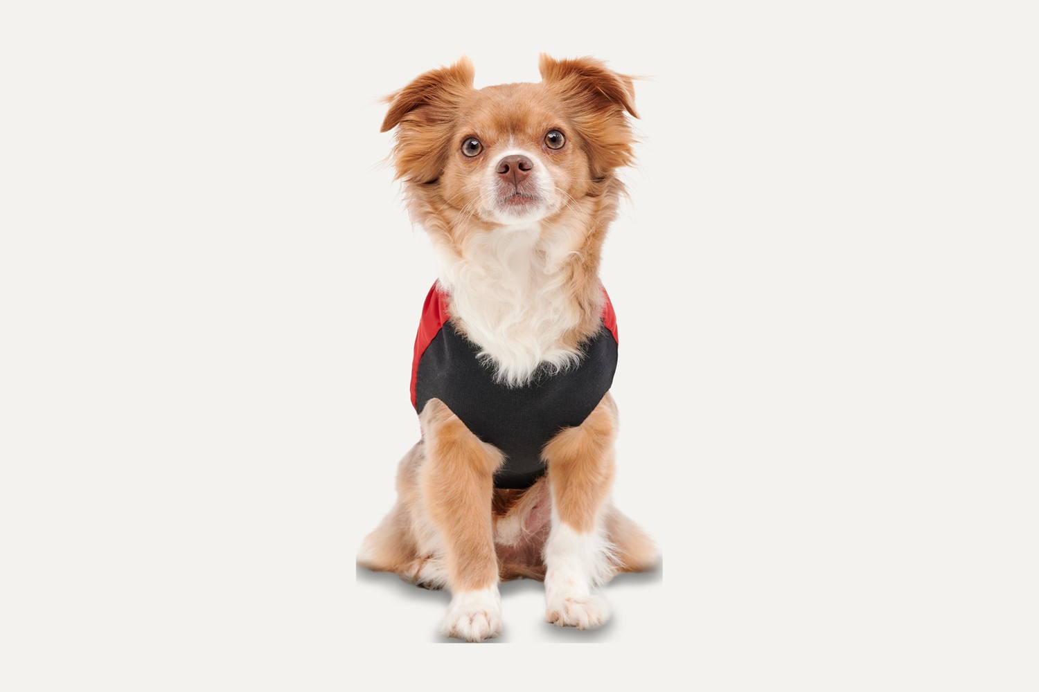 Dog jacket Goo-eez Signature Wrap Red/Black XXS (5) Dog jacket Goo-eez Signature Wrap Red/Black XXS (5)