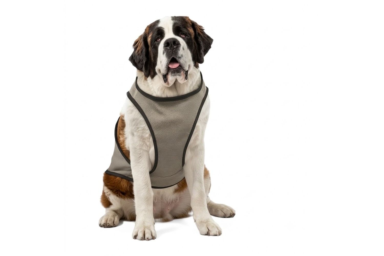 Kühlweste CoolPets XL Kühlweste CoolPets XL