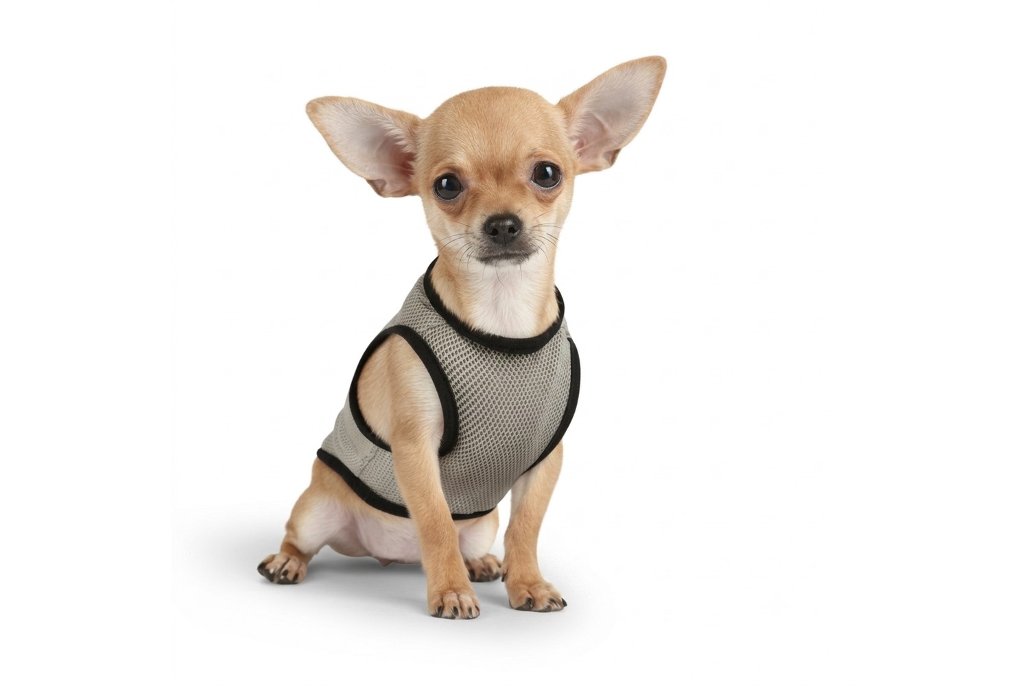Kühlweste CoolPets XS Kühlweste CoolPets XS