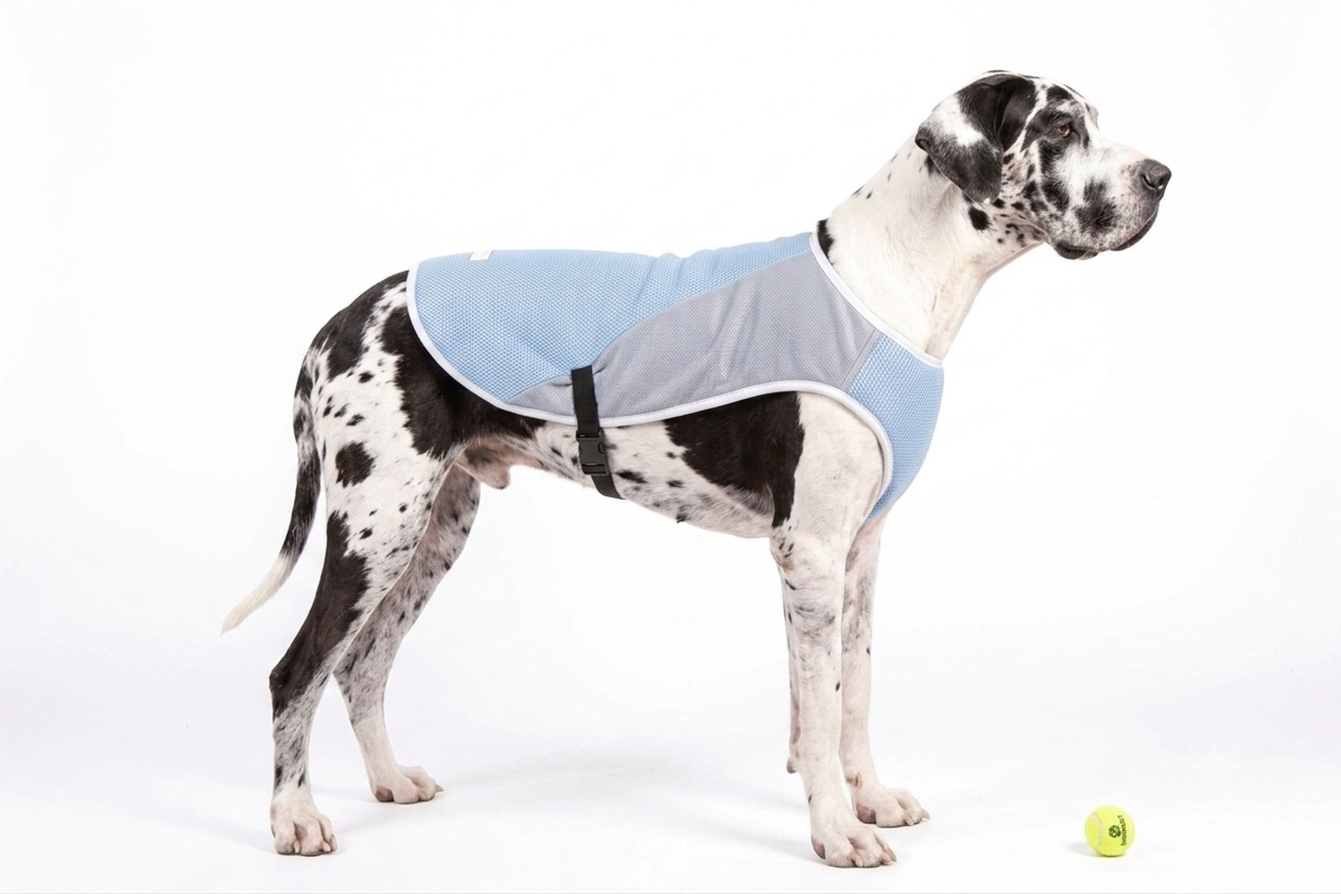 Cooling vest Flamingo Frozen XL Cooling vest Flamingo Frozen XL