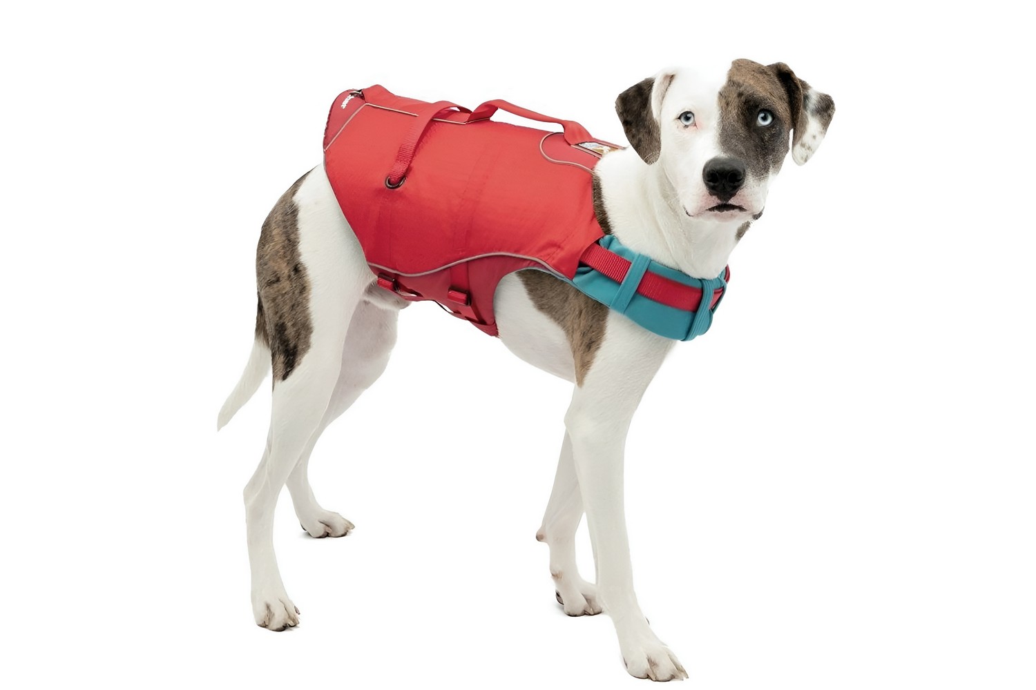 Hondenzwemvest Kurgo Surf N Turf rood - L