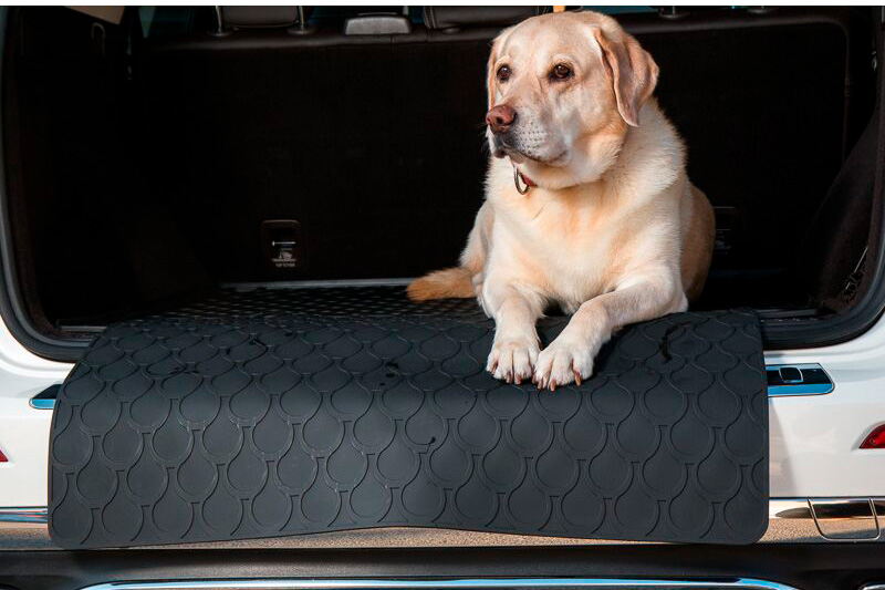 Doggy mat deals