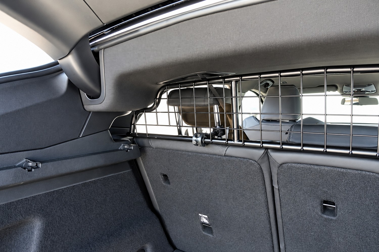 Dog guard Kleinmetall TraficGard - Example (4) Dog guard Kleinmetall TraficGard - Example (4)