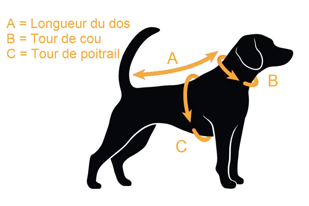 Audi - Harnais de sécurité pour chiens, taille S