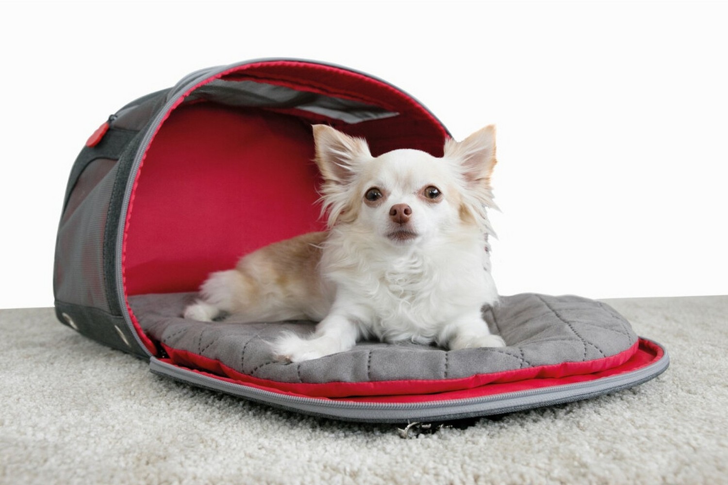 Pet carrier KONG 2-in-1 with travel mat (2) Pet carrier KONG 2-in-1 with travel mat (2)