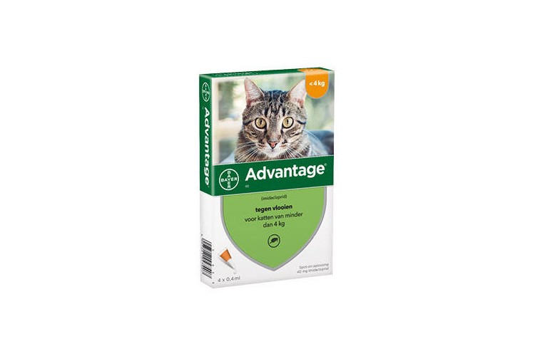 tijger Verlating groei Anti-insectmiddel Advantage 40 kat & kitten