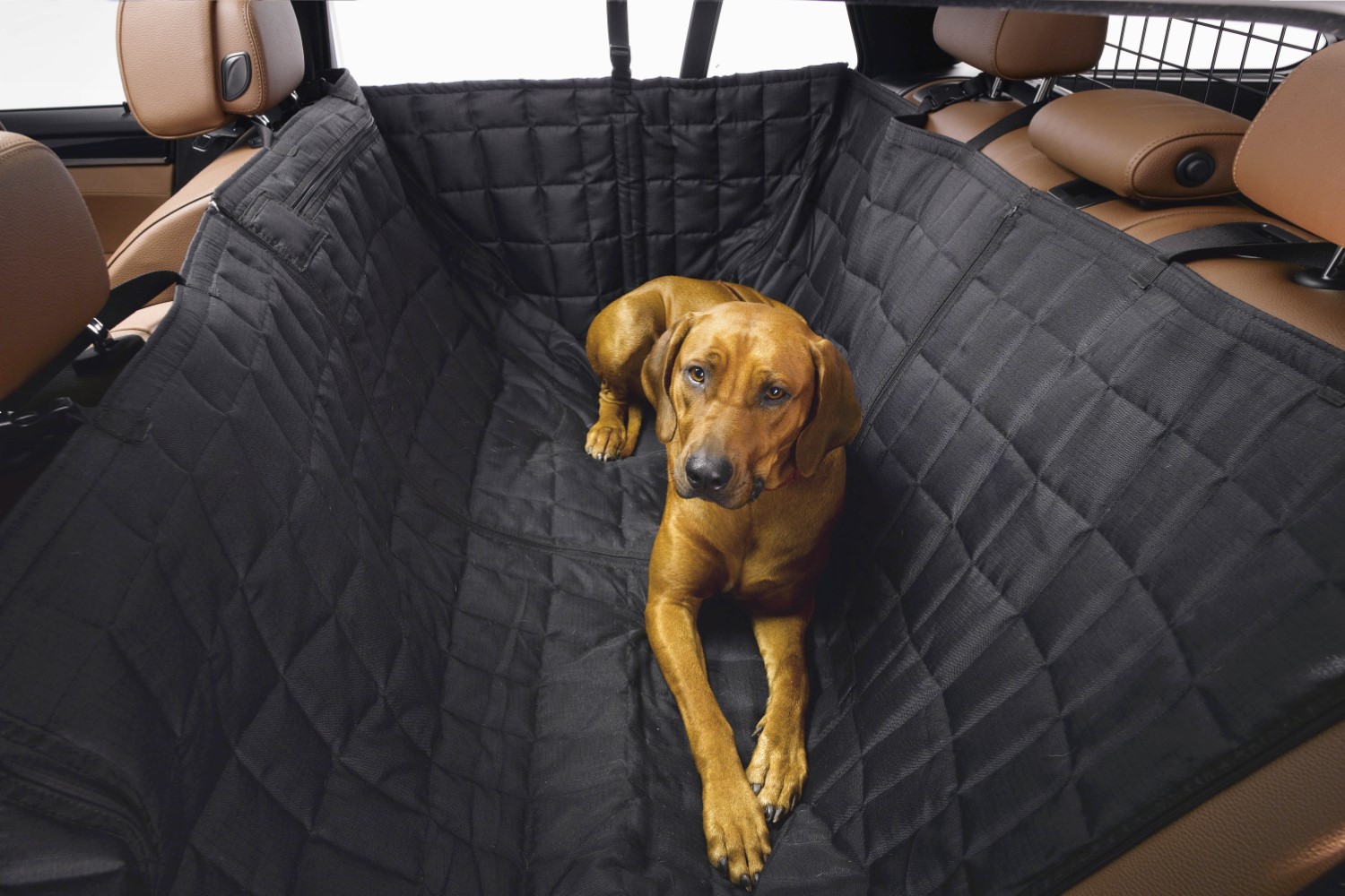 Telemacos bijeenkomst krom Hondendeken voor in de auto Kleinmetall Allside Comfort | PetWareShop