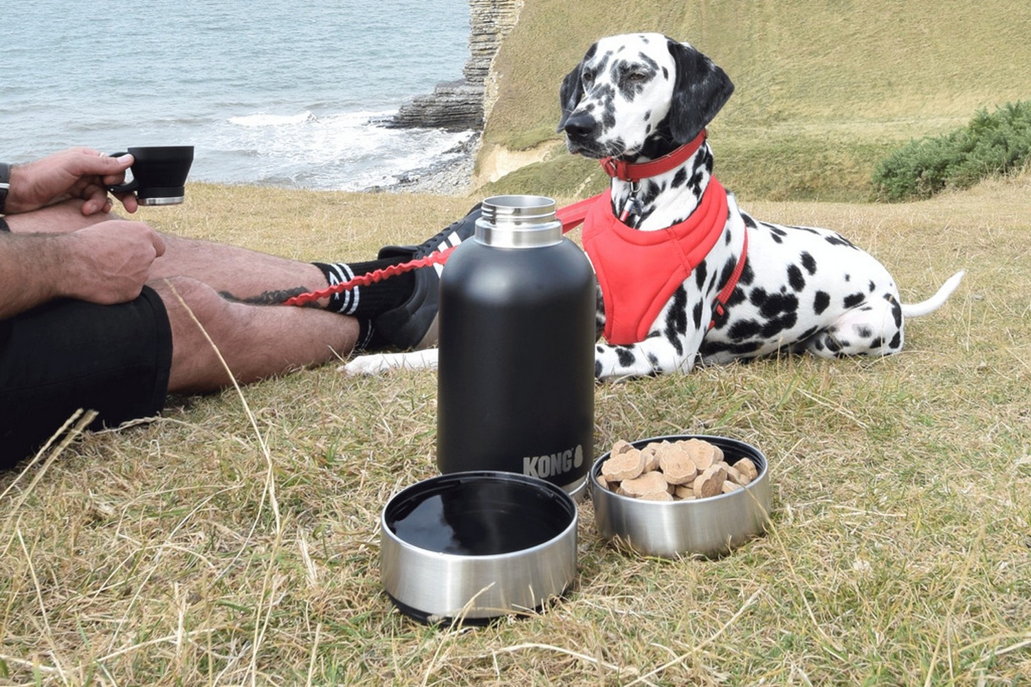 Dog drinking bottle KONG Duo Day Trek XL 1820 ml (3) Dog drinking bottle KONG Duo Day Trek XL 1820 ml (3)