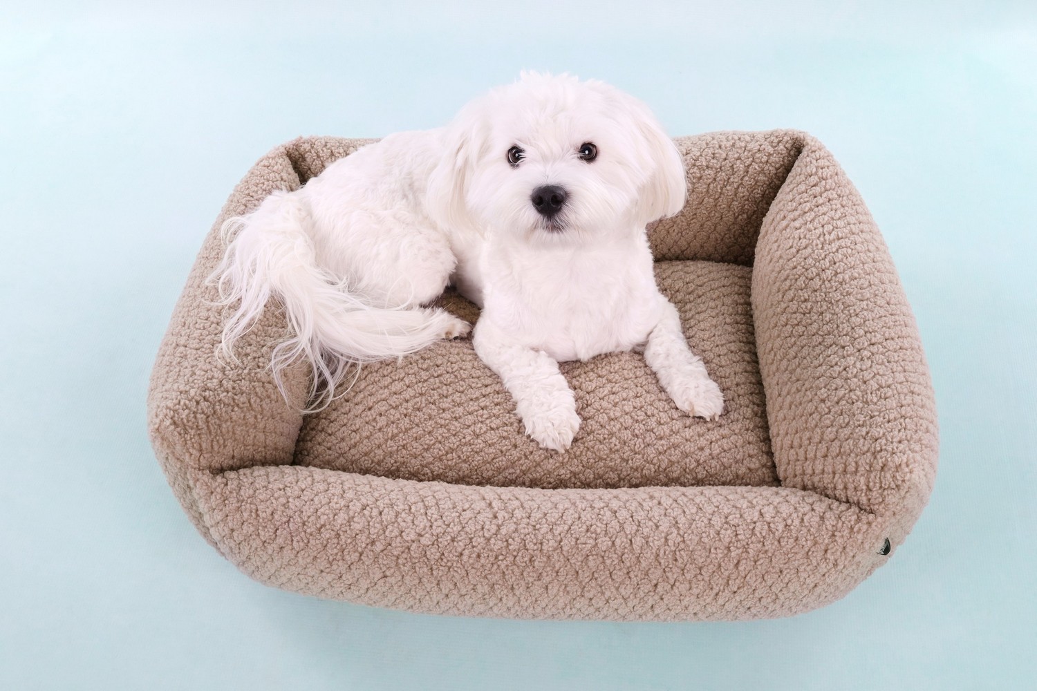 Dog bed Jacquard taupe - 80 x 67 x 22 cm (PCB1FLJP-2) (2)