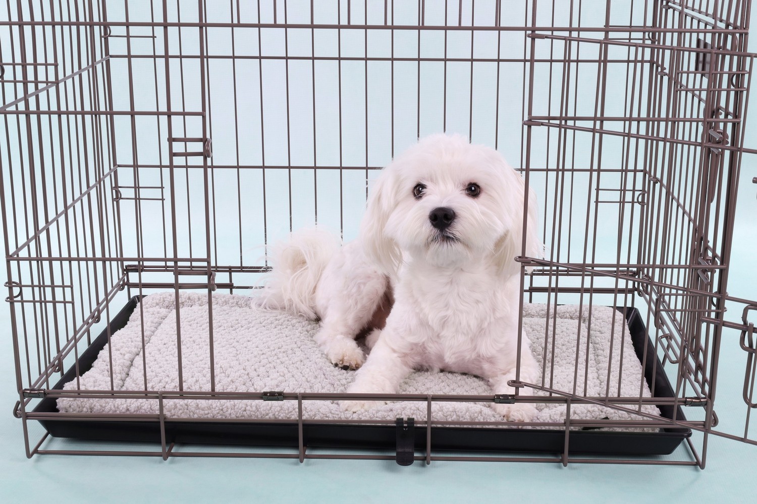 Dog mat rectangular Jacquard grey - 40,5 x 25,5 x 2 cm (PCB2FLJR-1) (2)