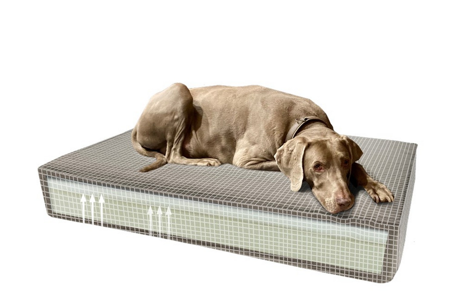 Orthopedic cushion Madison velvet taupe S (PCB3MAOK-S) (2)