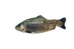 Cat toy Robocat trout (CHT1RCFO) (2)