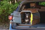 Kleinmetall Minimax dog crate - Hundebox - hondenbench - cage pour chien (8)