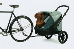 Dog bike trailer & stroller InnoPet Noah lagoon (1)