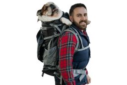 Dog backpack Kolossus black L (DBP14PKS-L) (1)