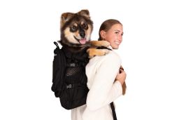 Dog backpack K9 Sport Sack Plus 2 black M (DBP14PPL-M) (1)
