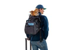 Dog backpack K9 Sport Sack Sky Pack black S (DBP14PSS-S) (1)