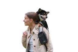Phone bag K9 Sport Sack Kompanion (1)